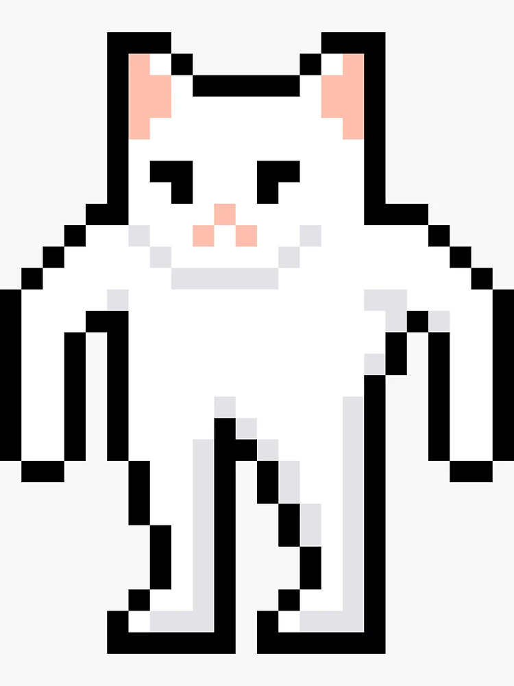 meme cat